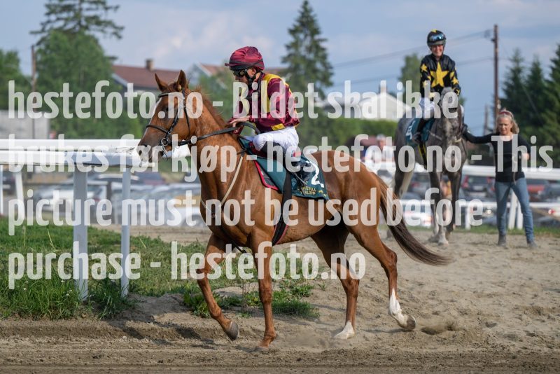 20230615-183715-DSC_5412