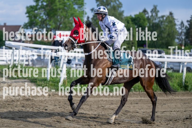 20230615-183748-DSC_5466