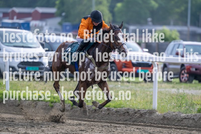 20230615-184433-DSC_5611