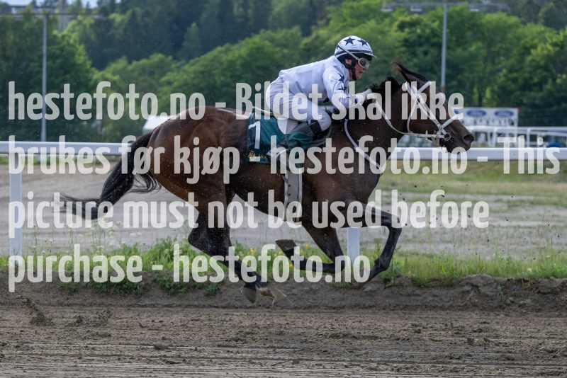 20230615-184436-DSC_5648