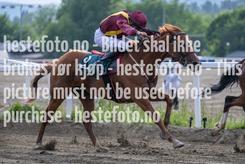 20230615-184434-DSC_5635