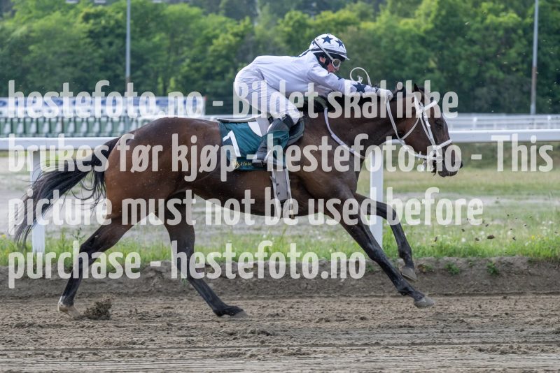 20230615-184436-DSC_5651