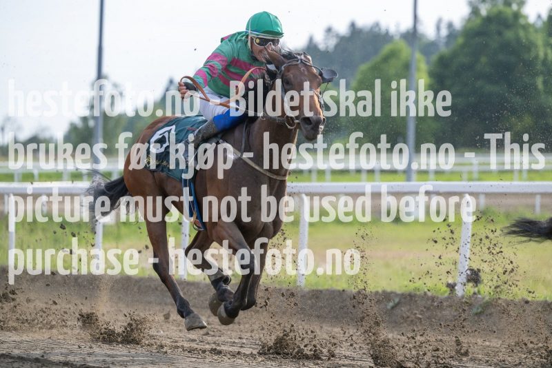 20230615-191103-DSC_5729