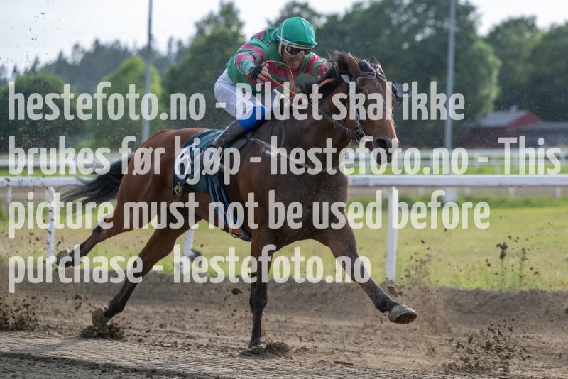 20230615-191103-DSC_5731