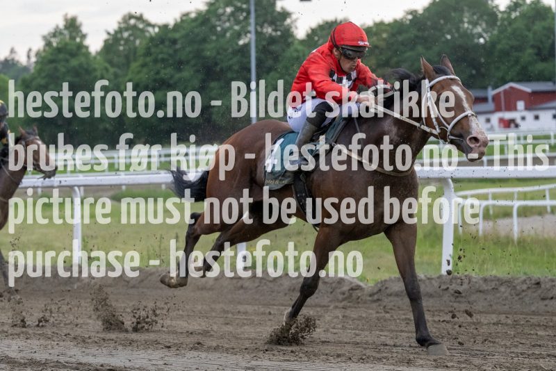 20230615-193624-DSC_5816