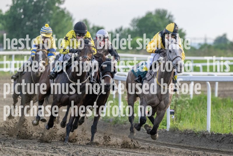 20230615-195813-DSC_5919