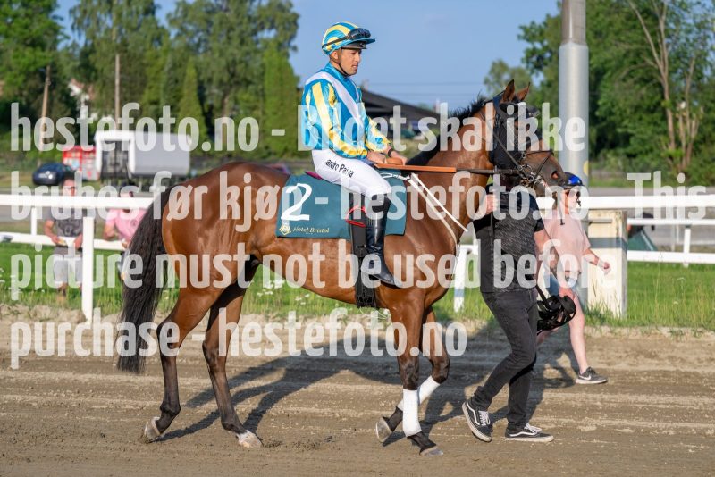 20230615-201945-DSC_6078