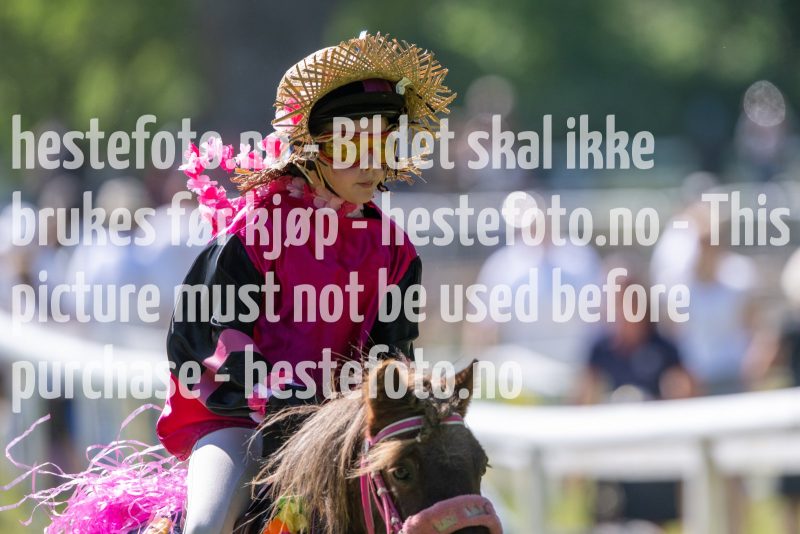 20230617-110311-DSC_6669