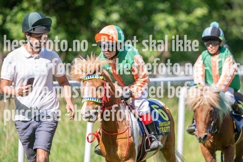 20230617-110428-DSC_6693