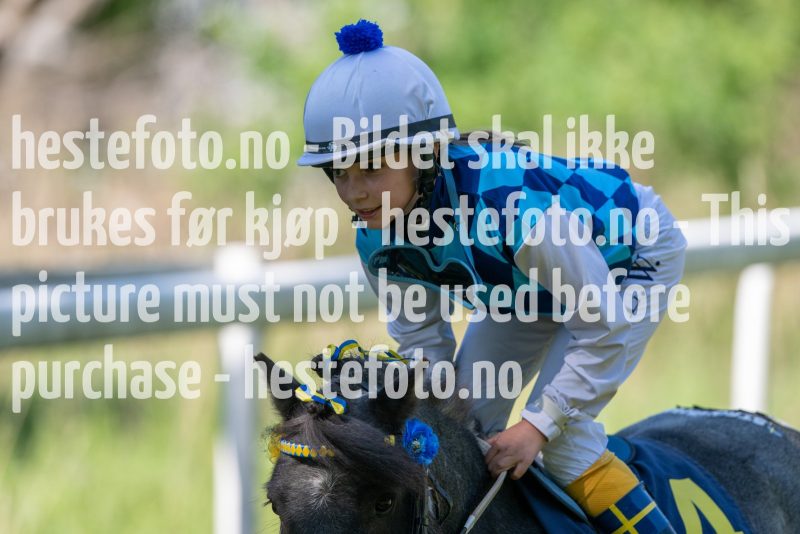 20230617-110435-DSC_6728
