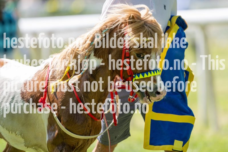 20230617-110817-DSC_6899