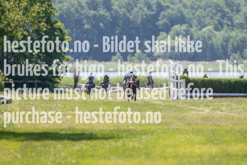 20230617-111544-DSC_7012