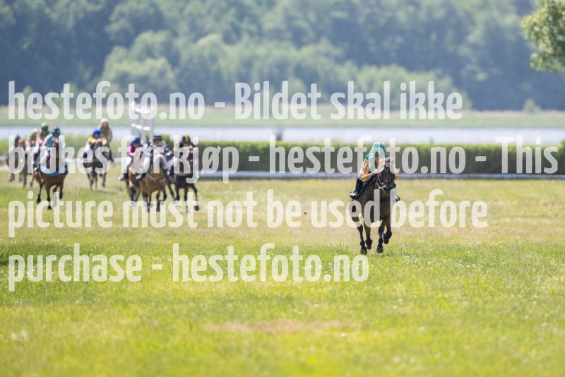 20230617-111551-DSC_7066