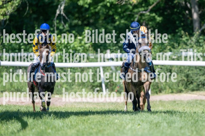 20230617-111708-DSC_7268