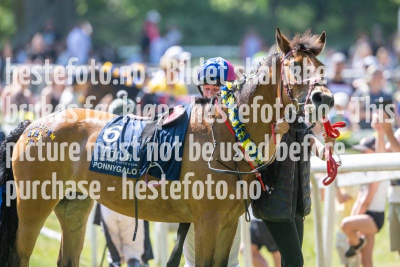 20230617-111818-DSC_7519
