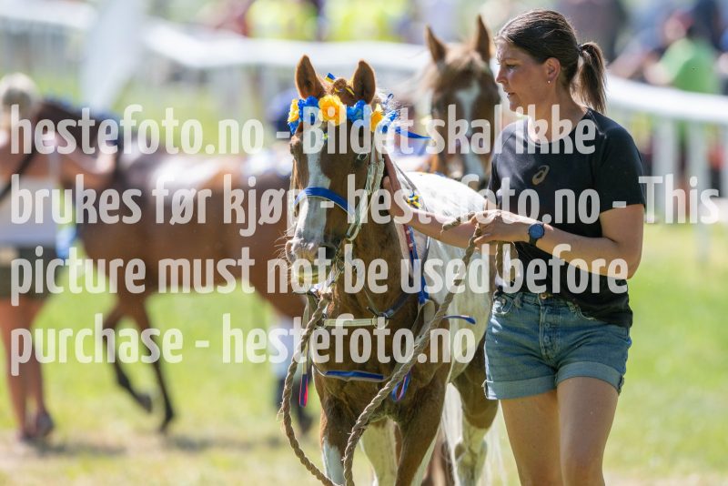 20230617-111831-DSC_7538