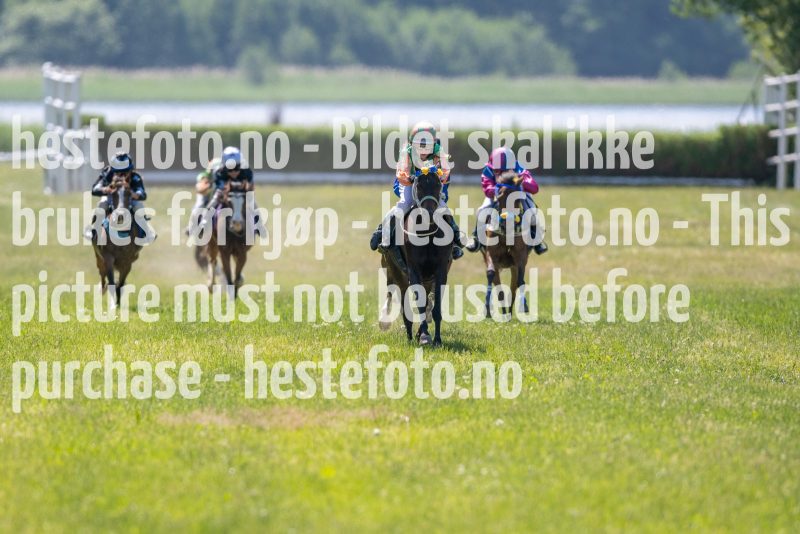 20230617-113133-DSC_7662