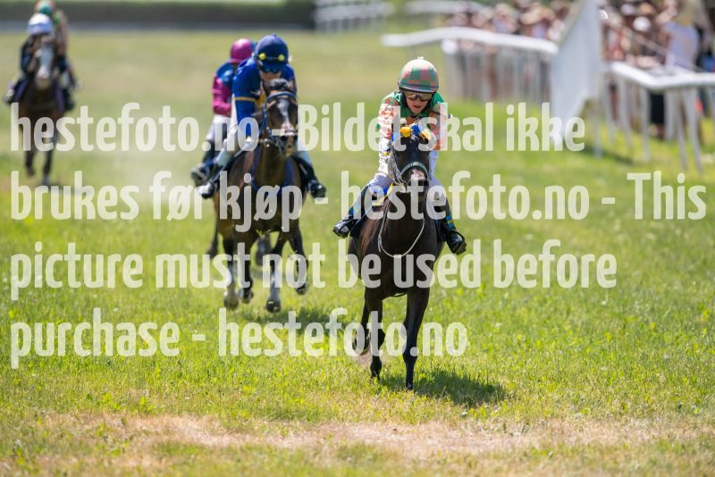 20230617-113137-DSC_7697