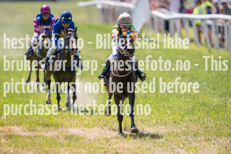 20230617-113138-DSC_7705