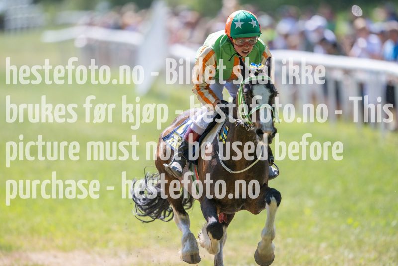 20230617-113143-DSC_7769