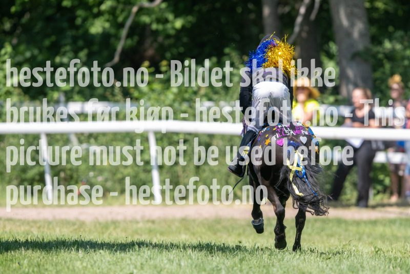 20230617-113159-DSC_7859
