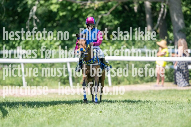 20230617-113244-DSC_7868