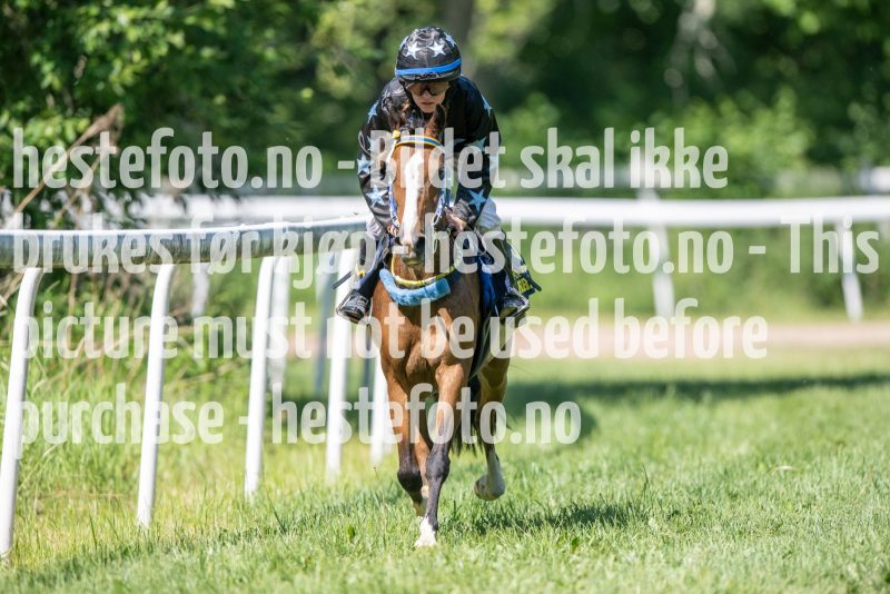 20230617-113317-DSC_8035