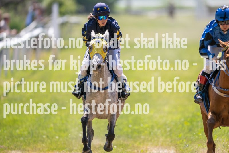 20230617-120202-DSC_8906