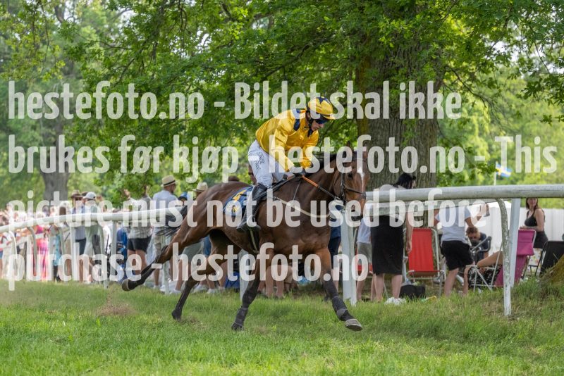 20230617-153532-DSC9728