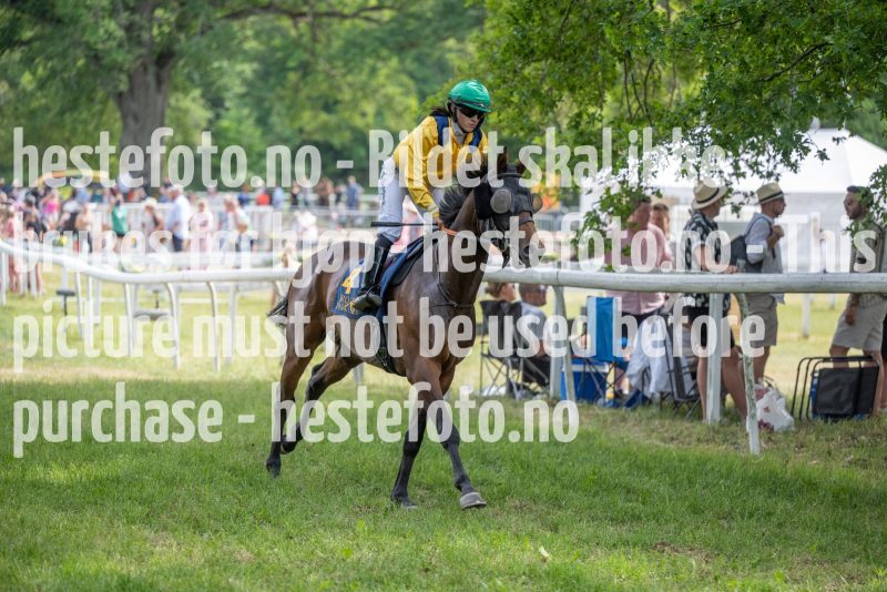 20230617-155311-DSC9786