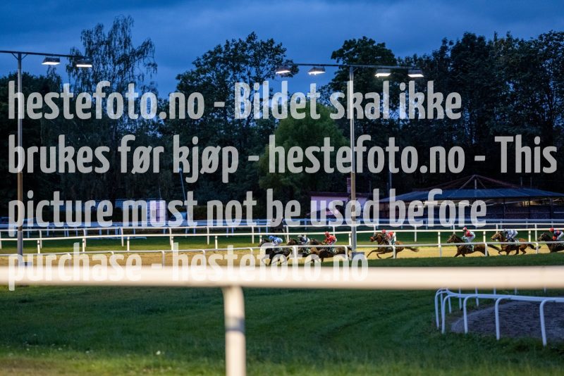 20210916-195812-DSC5784