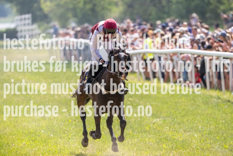 20230617-124933-DSC_0081