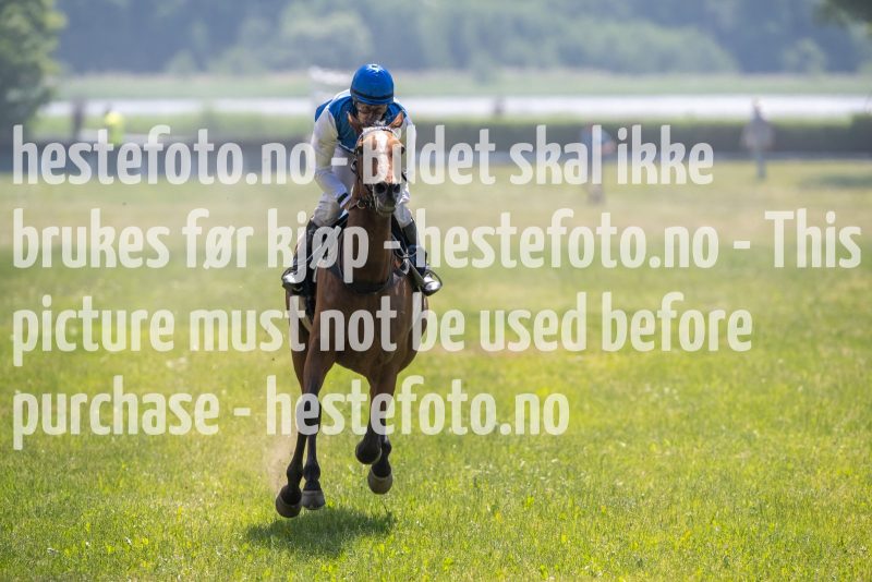 20230617-124938-DSC_0134