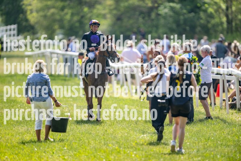 20230617-125344-DSC_0189