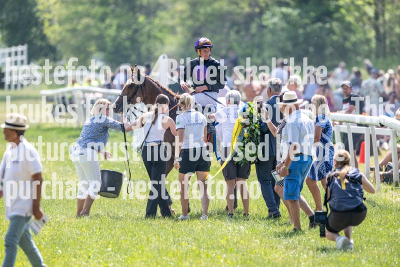 20230617-125358-DSC_0222