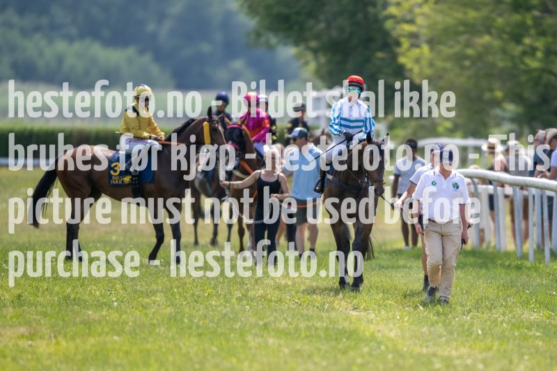 20230617-130311-DSC_0312