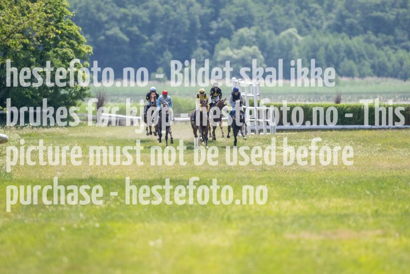 20230617-131111-DSC_0464