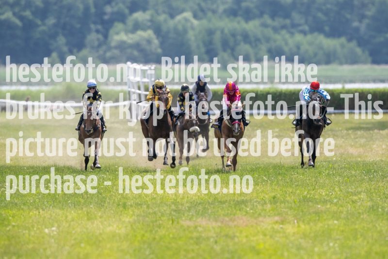 20230617-131233-DSC_0637
