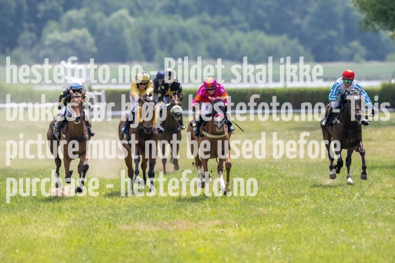 20230617-131235-DSC_0654
