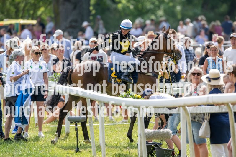 20230617-131509-DSC_0780