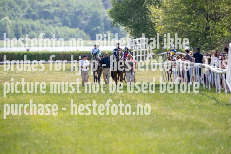20230617-132850-DSC_0872
