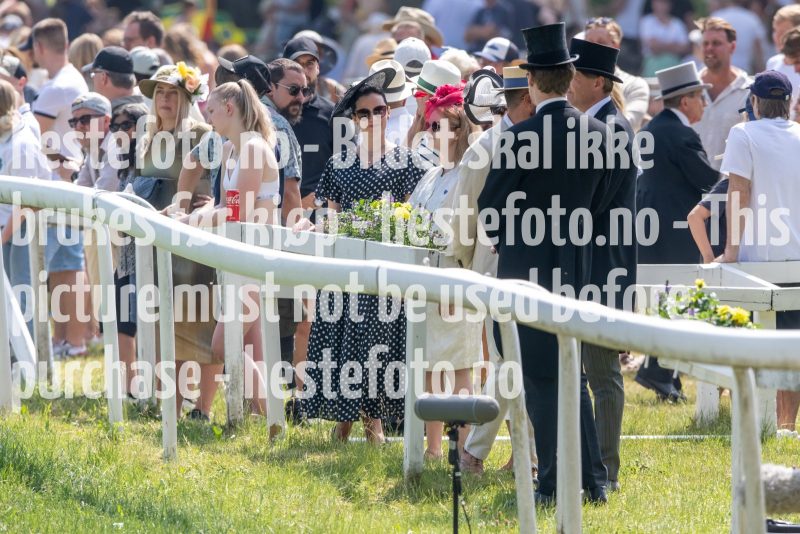 20230617-133138-DSC_1117