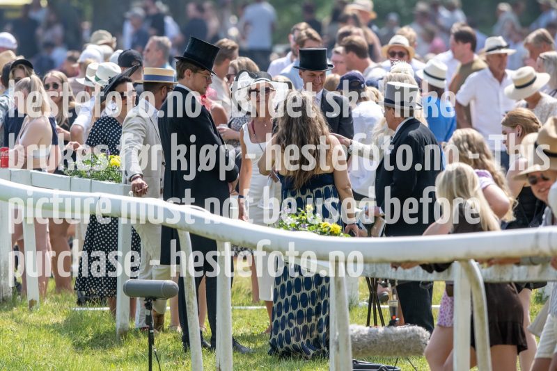 20230617-133503-DSC_1138