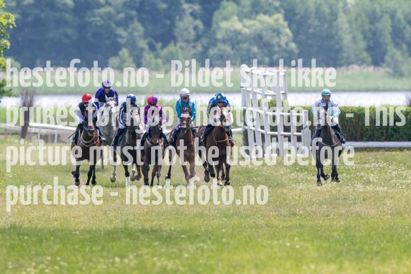 20230617-133633-DSC_1207