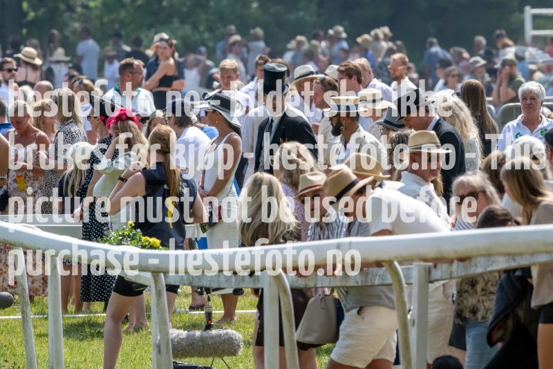 20230617-133552-DSC_1168