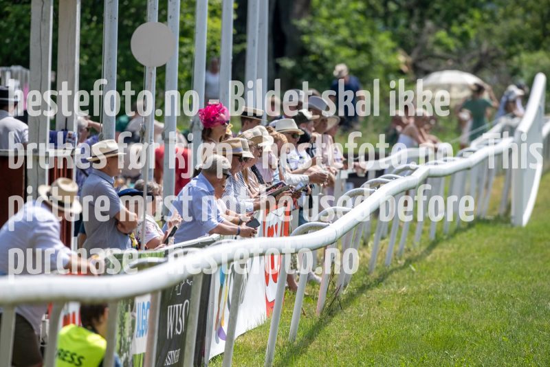 20230617-133537-DSC_1145