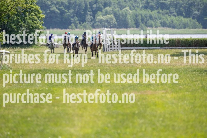 20230617-133758-DSC_1395