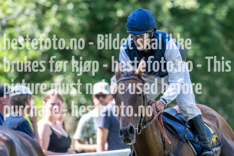 20230617-140733-DSC_2090