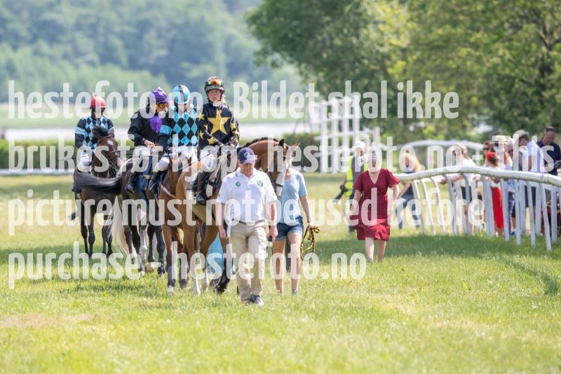 20230617-145632-DSC_3504
