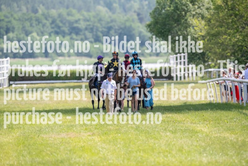 20230617-145620-DSC_3482